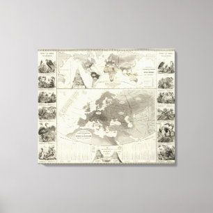 Impressão Em Tela Aves