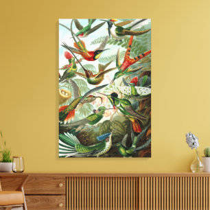Impressão Em Tela Aves-humanos por Ernst Haeckel, Árvores de Aves Vi