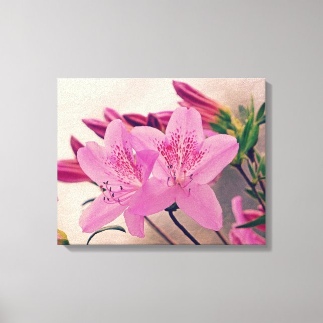 Impressão Em Tela Azalea Blooms (Frente)