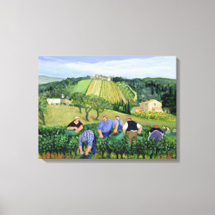 Impressão Em Tela Azeitonas e girassóis do vinhedo