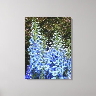 Impressão Em Tela Azul Delfinium Floral Flowers Natureza