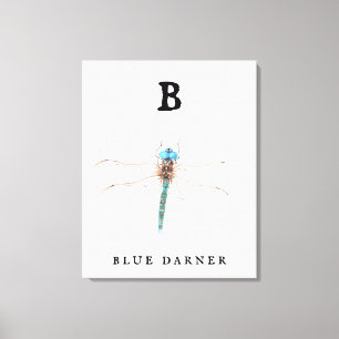 Impressão Em Tela "B" Blue Darner