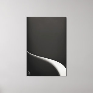 Impressão Em Tela B&W, Experiências na série suprematismo, Vol 1