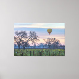 Impressão Em Tela Balão de ar sobre Vineyard