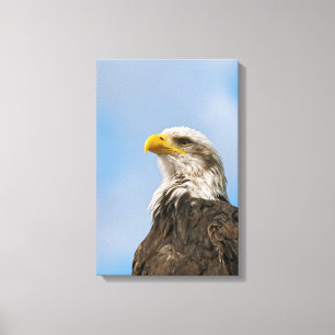 Impressão Em Tela Bald Eagle