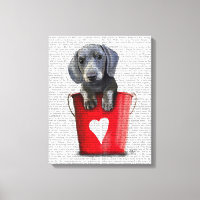 Baldes do Amor Dachshund Puppy