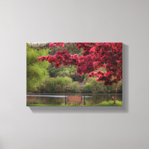 Impressão Em Tela Banco de balanço oscilante 12x8,75"