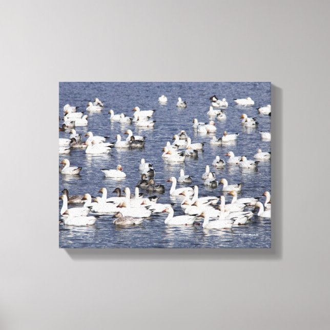 Impressão Em Tela Bando de Neve na Praia (Frente)