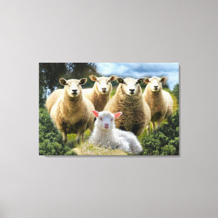 Impressão Em Tela Bando de Ovinos