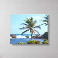 Barbados, Oceano, Palmeiras, foto de alta definiçã