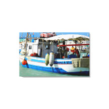 Barco de pesca na costa da Toscana, pintura.