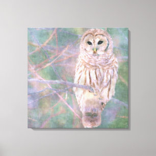 Impressão Em Tela Barred Owl Pastel Oilpainting