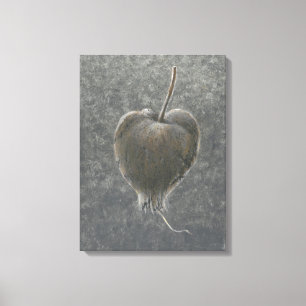 Impressão Em Tela Barringtonia Acutangula 2