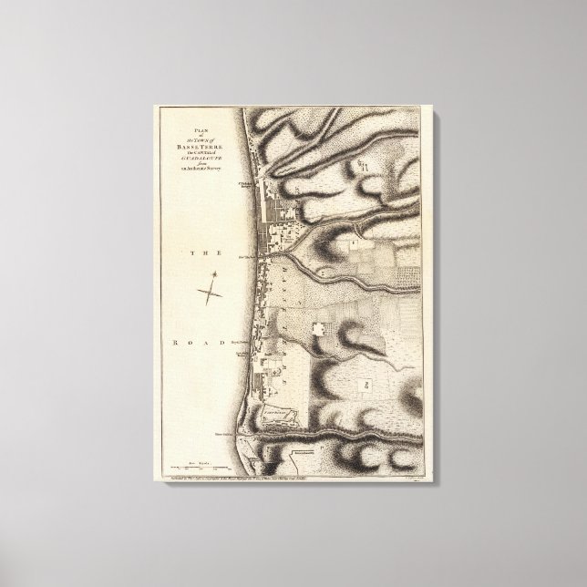 Impressão Em Tela Basse Terre (Frente)