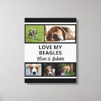 Beagle lança uma coleção personalizada de fotos de