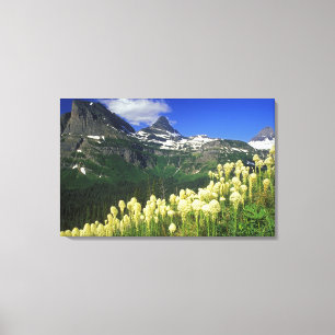 Impressão Em Tela Bearcapi na Passagem de Logan no Parque Nacional d