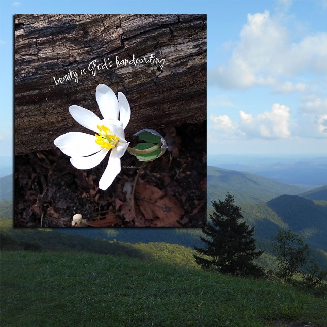 IMPRESSÃO EM TELA BEAUTY DEUS MANUSEANDO EMERSON EARTHY (Criador carregado)