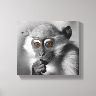 Impressão Em Tela Bebê Mangabey Mackey
