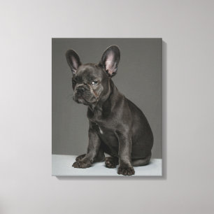 Impressão Em Tela Bebês Mais Pobres Bolha Azul Frente