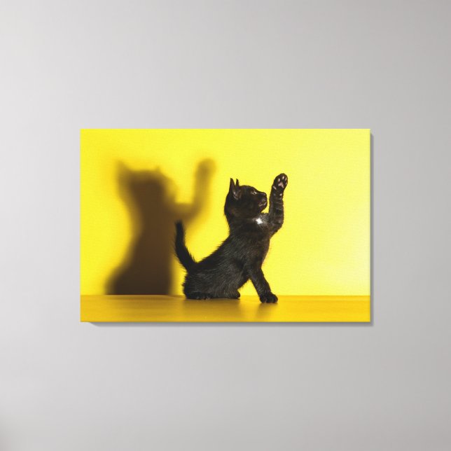 Impressão Em Tela Bebês Mais Pobres | Brinquedo preto (Frente)