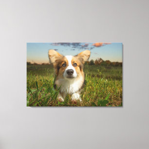 Impressão Em Tela Bebês Mais Pobres   Corgi em Jardim Nublado
