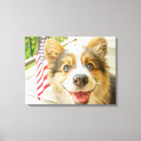 Bebês Mais Pobres | Corgi Puppy Patriótico