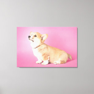 Impressão Em Tela Bebês Mais Pobres Corgi-Puppy rosa