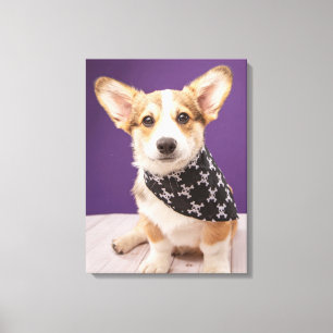 Impressão Em Tela Bebês Mais Pobres Corgi Puppy Skull Bandana