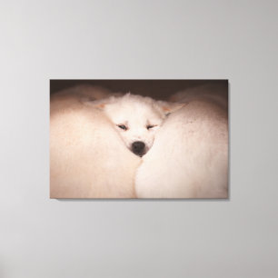 Impressão Em Tela Bebês Mais Pobres Dispositivo de Ouro