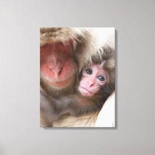 Impressão Em Tela Bebês Mais Pobres Macaco-neve