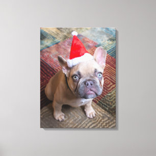 Impressão Em Tela Bebês Mais Pobres Natal francês para o Buldogue