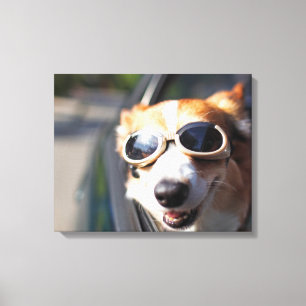 Impressão Em Tela Bebês Mais Pobres Óculos de Corgi no carro