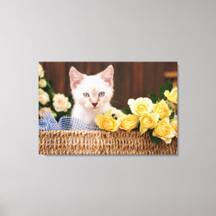 Impressão Em Tela Bebês Mais Pobres Rosas de Kitten e Amarelo