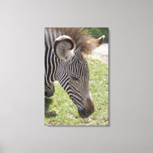 Impressão Em Tela Bedfordshire, Inglaterra