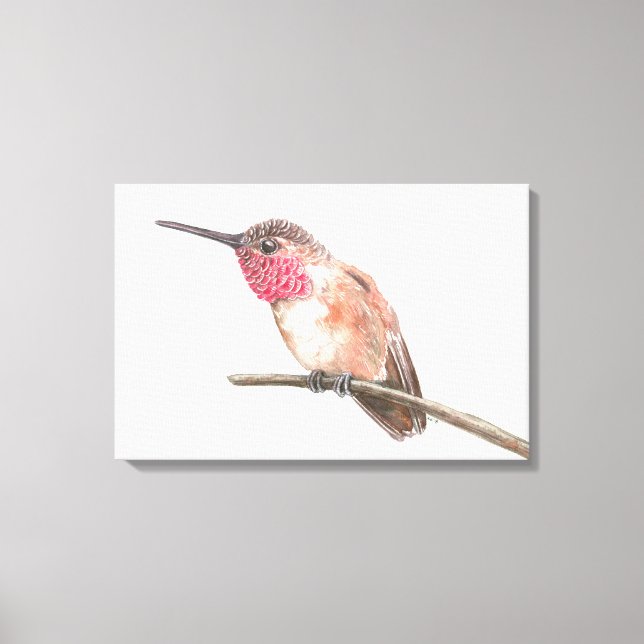 Impressão Em Tela Beija-flor aquarela (Frente)