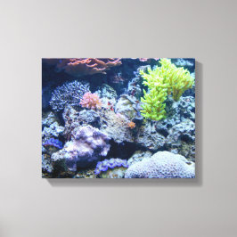 Impressão Em Tela bela cena do oceano submarino, mar colorido