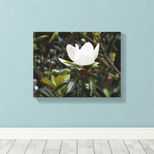 Impressão Em Tela Bela Flor de Magnólia (Insitu(piso de madeira))