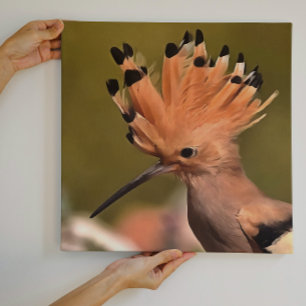 Impressão Em Tela Bela Pássaro Hoopolista Com Coroa De Penas
