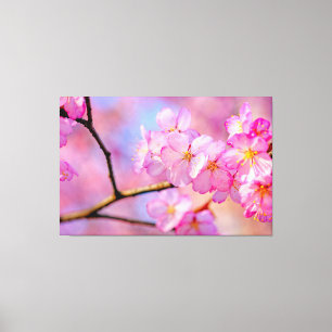 Impressão Em Tela Belas Flores de Sakura Rosa na Primavera