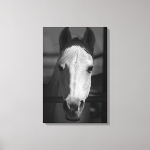 Impressão Em Tela BELEZA BRANCA 16x24