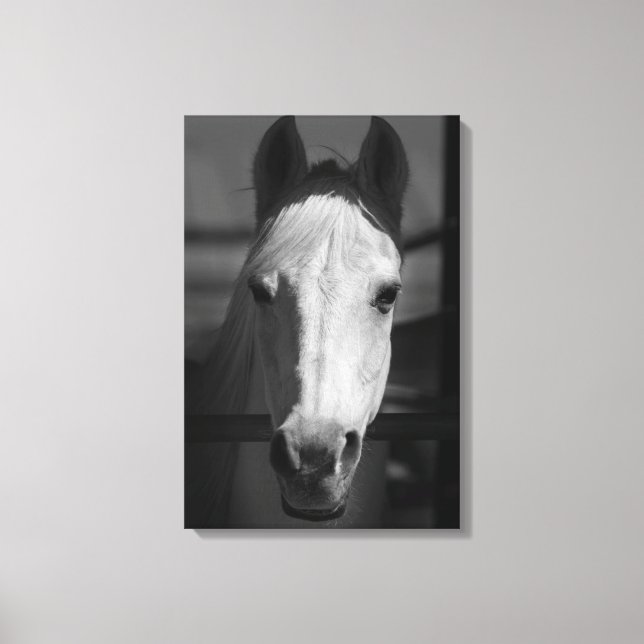 Impressão Em Tela BELEZA BRANCA 16x24 (Frente)