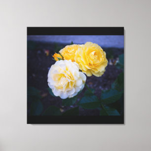 Impressão Em Tela Beleza dos Rosas