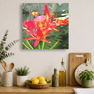 Impressão Em Tela Beleza Flamejante Vallarta Floral Tropical 1583 Ar