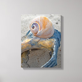 Impressão Em Tela Beleza imperdível