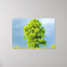 Beleza na Tempestade