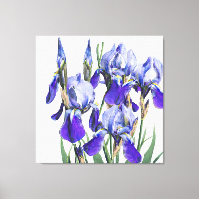 Impressão Em Tela Belo Botânico De Aquarela Azul Iris Flores P (Frente)