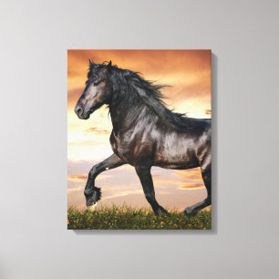 Impressão Em Tela Belo Cavalo Negro