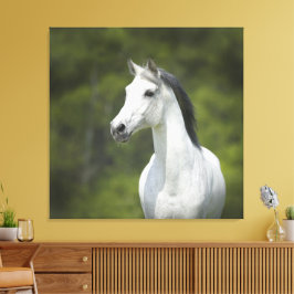 Impressão Em Tela Belo Retrato de Cavalo Branco em Fundo Verde