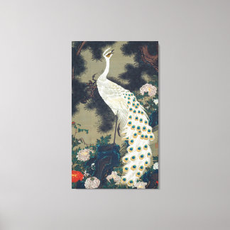 Impressão Em Tela Belo White Peacock Japonês