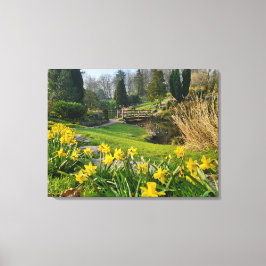 Impressão Em Tela Belos narcisos de primavera